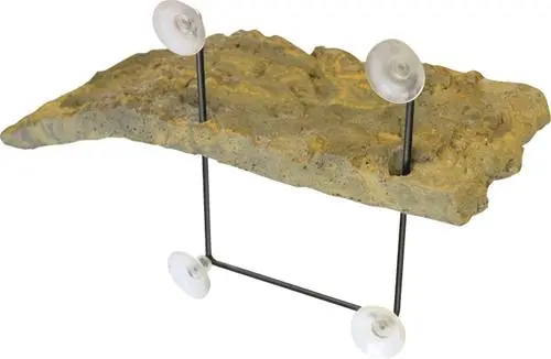 ZooMed Turtle Dock lille til sumpskildpadder